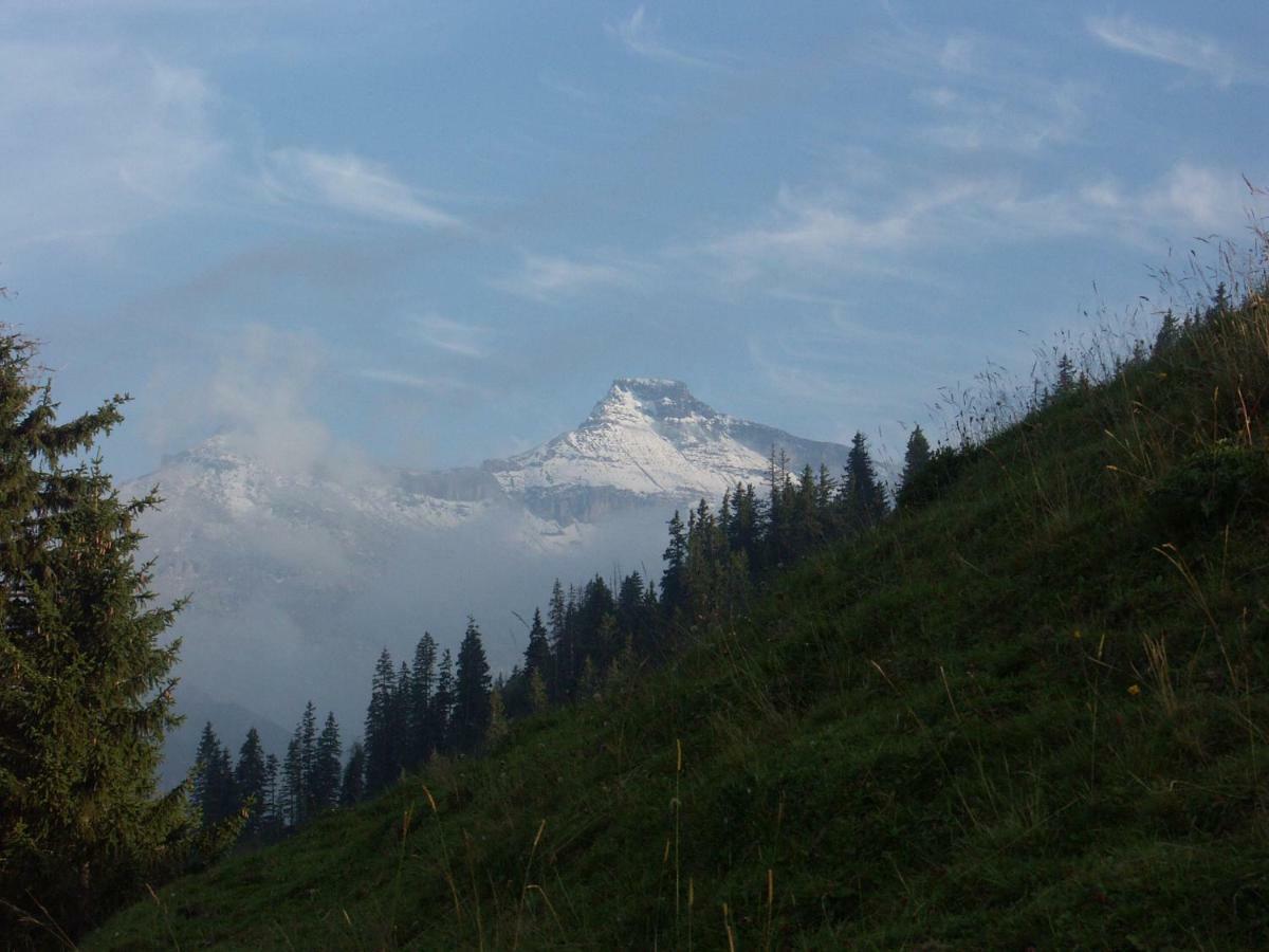 Pension Sonne Adelboden Luaran gambar